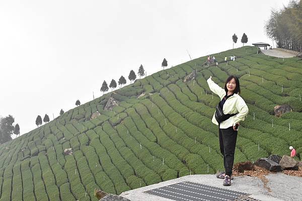 五月阿里山鐵路 - 初夏螢火蟲之旅: 梨園寮火車站 - 大風