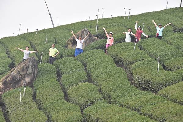 五月阿里山鐵路 - 初夏螢火蟲之旅: 梨園寮火車站 - 大風