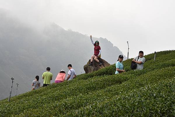 五月阿里山鐵路 - 初夏螢火蟲之旅: 梨園寮火車站 - 大風