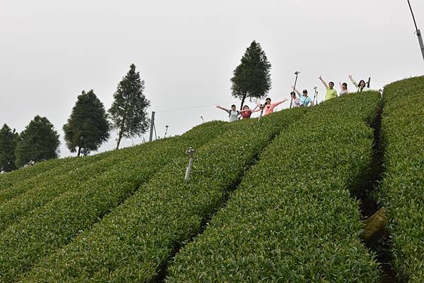 五月阿里山鐵路 - 初夏螢火蟲之旅: 梨園寮火車站 - 大風