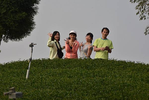 五月阿里山鐵路 - 初夏螢火蟲之旅: 梨園寮火車站 - 大風