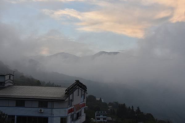 五月阿里山鐵路 - 初夏螢火蟲之旅: 迷糊步道竹林行 - 藍