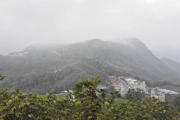 五月阿里山鐵路 - 初夏螢火蟲之旅: 迷糊步道竹林行 - 藍