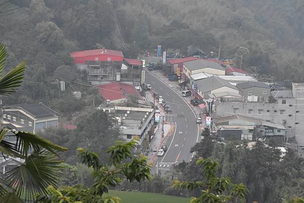 五月阿里山鐵路 - 初夏螢火蟲之旅: 迷糊步道竹林行 - 藍