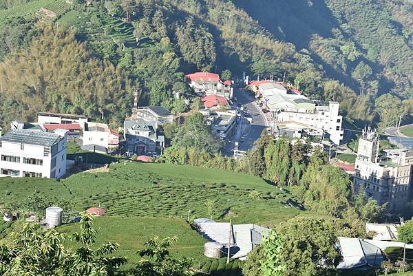 五月阿里山鐵路 - 初夏螢火蟲之旅: 迷糊步道竹林行 - 藍