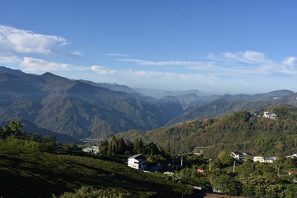 五月阿里山鐵路 - 初夏螢火蟲之旅: 迷糊步道竹林行 - 藍