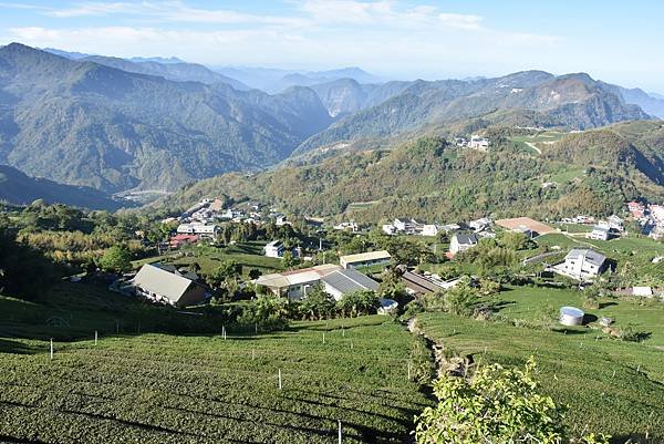 五月阿里山鐵路 - 初夏螢火蟲之旅: 迷糊步道竹林行 - 藍