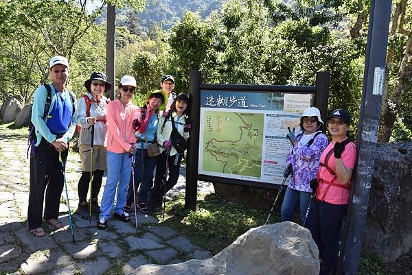 五月阿里山鐵路 - 初夏螢火蟲之旅: 迷糊步道竹林行 - 藍