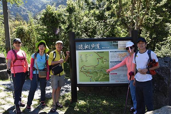 五月阿里山鐵路 - 初夏螢火蟲之旅: 迷糊步道竹林行 - 藍