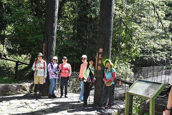 五月阿里山鐵路 - 初夏螢火蟲之旅: 迷糊步道竹林行 - 藍