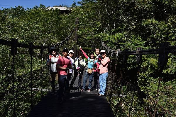 五月阿里山鐵路 - 初夏螢火蟲之旅: 迷糊步道竹林行 - 藍