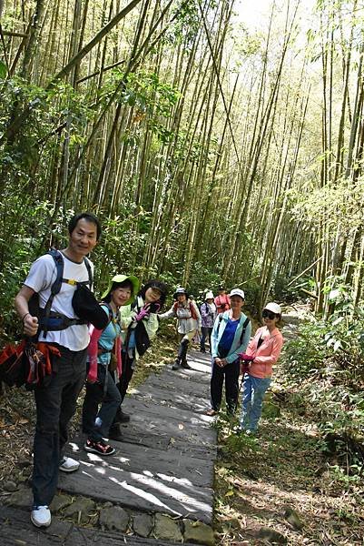 五月阿里山鐵路 - 初夏螢火蟲之旅: 迷糊步道竹林行 - 藍