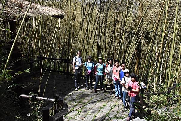 五月阿里山鐵路 - 初夏螢火蟲之旅: 迷糊步道竹林行 - 藍