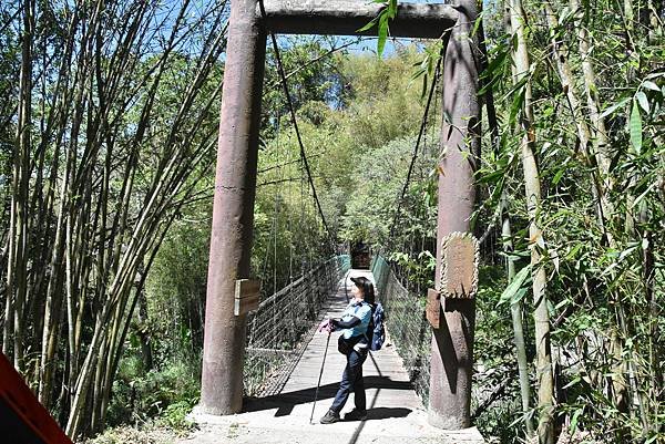 五月阿里山鐵路 - 初夏螢火蟲之旅: 迷糊步道竹林行 - 藍