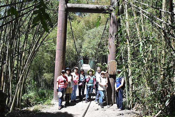 五月阿里山鐵路 - 初夏螢火蟲之旅: 迷糊步道竹林行 - 藍