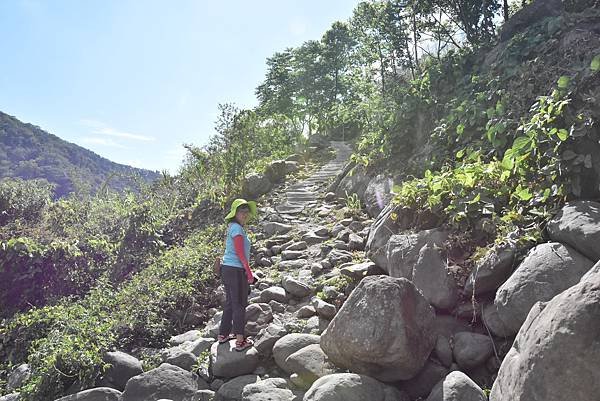 五月阿里山鐵路 - 初夏螢火蟲之旅: 迷糊步道竹林行 - 藍