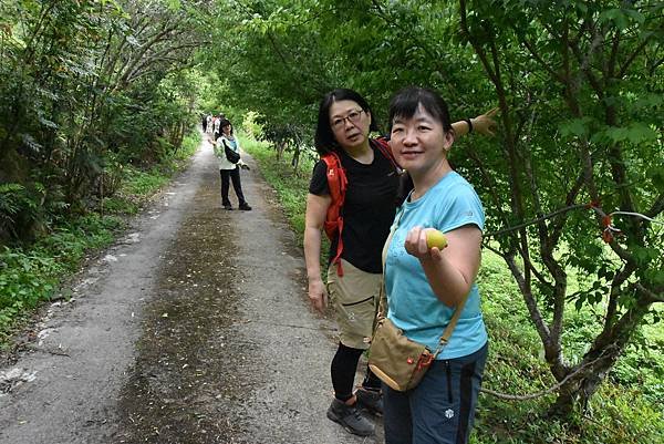 五月阿里山鐵路 - 初夏螢火蟲之旅: 迷糊步道竹林行 - 藍