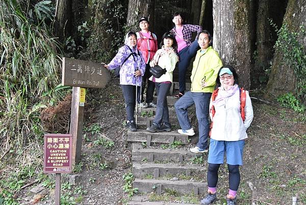 五月阿里山鐵路 - 初夏螢火蟲之旅: 鋒面過境雨中返家 - 