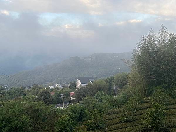 五月阿里山鐵路 - 初夏螢火蟲之旅: 迷糊步道竹林行 - 藍