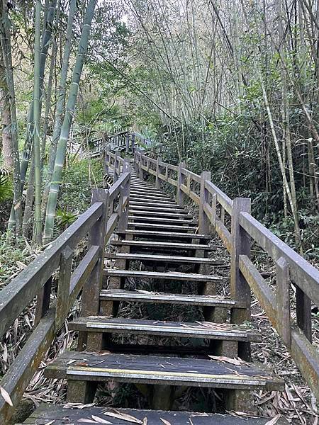 五月阿里山鐵路 - 初夏螢火蟲之旅: 迷糊步道竹林行 - 藍