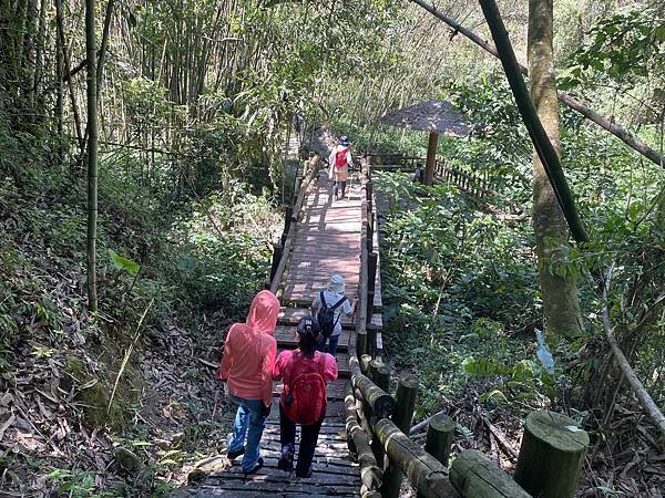 五月阿里山鐵路 - 初夏螢火蟲之旅: 迷糊步道竹林行 - 藍