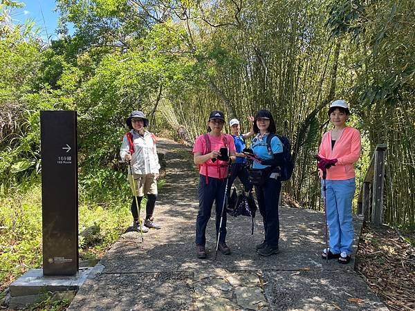 五月阿里山鐵路 - 初夏螢火蟲之旅: 迷糊步道竹林行 - 藍