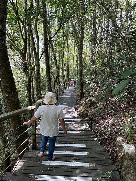 五月阿里山鐵路 - 初夏螢火蟲之旅: 迷糊步道竹林行 - 藍