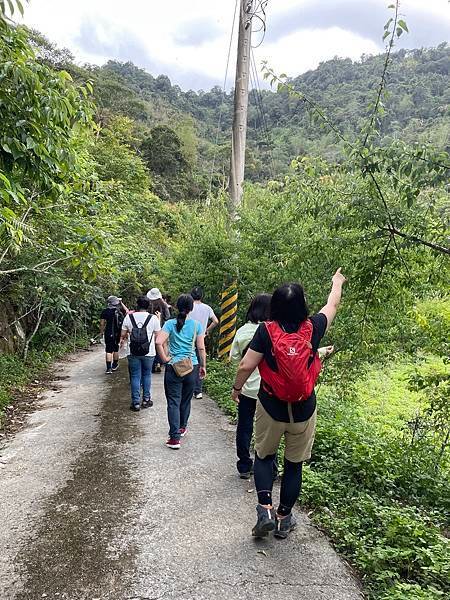 五月阿里山鐵路 - 初夏螢火蟲之旅: 迷糊步道竹林行 - 藍