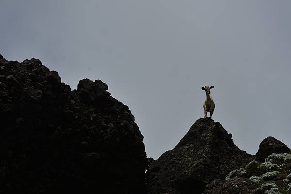 夏季蘭嶼徒步環島 - 漫遊藍色太平洋: 陡步環島第一天 - 