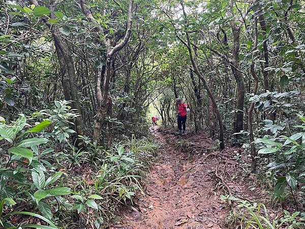 夏季蘭嶼徒步環島 - 漫遊藍色太平洋: 陡步環島第一天 - 