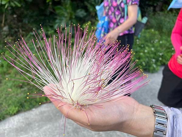 夏季蘭嶼徒步環島 - 漫遊藍色太平洋: 蘭嶼藍看不盡 - 環