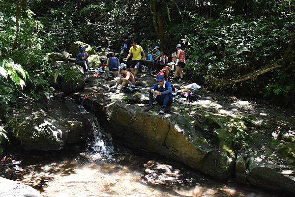 北勢溪古道走至灣潭 - 炎炎夏日溪邊野餐避暑