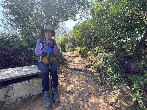 金面山步道大崙尾山 - 初秋漫步輕走山林