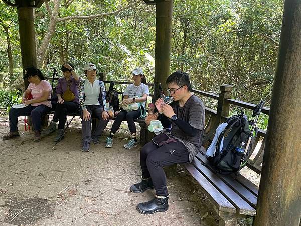 金面山步道大崙尾山 - 初秋漫步輕走山林