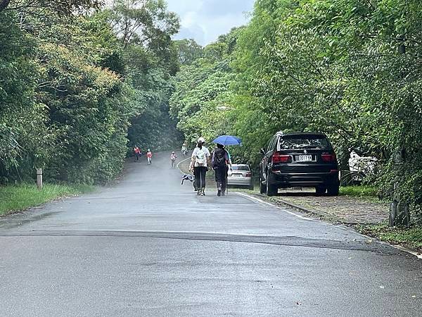 金面山步道大崙尾山 - 初秋漫步輕走山林