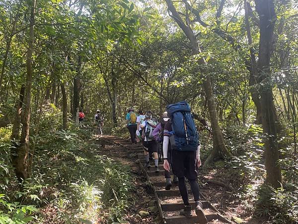 金面山步道大崙尾山 - 初秋漫步輕走山林