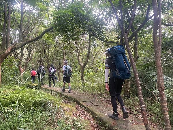 金面山步道大崙尾山 - 初秋漫步輕走山林