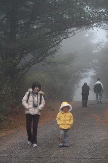 2009-12-26大雪山雲海楓樹 (300)_縮小大小.JPG