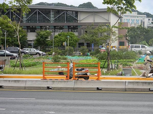 124.臺北市難得一見的菜園景色