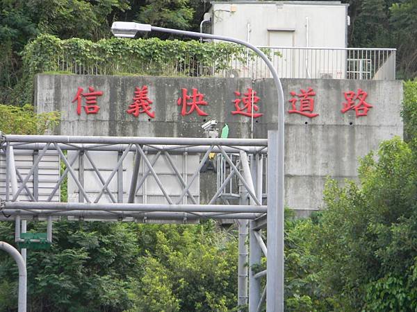 152.信義快速道路北市信義區端點