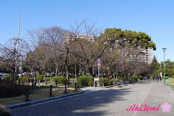 PhotoCap_088.jpg