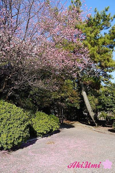 PhotoCap_093.jpg