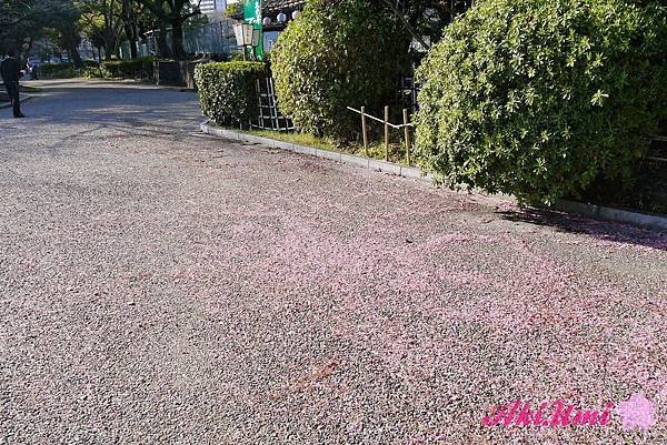 PhotoCap_098.jpg