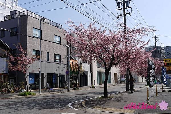 PhotoCap_204.jpg