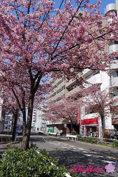 PhotoCap_221.jpg