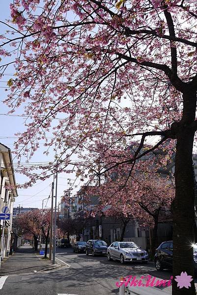 PhotoCap_223.jpg