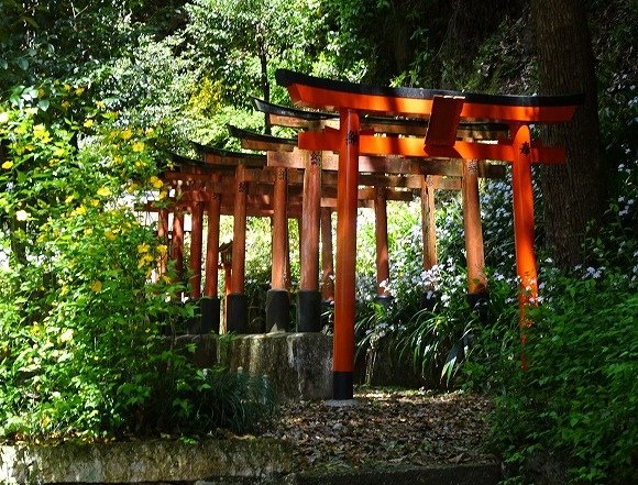 椎尾神社鳥居.jpg