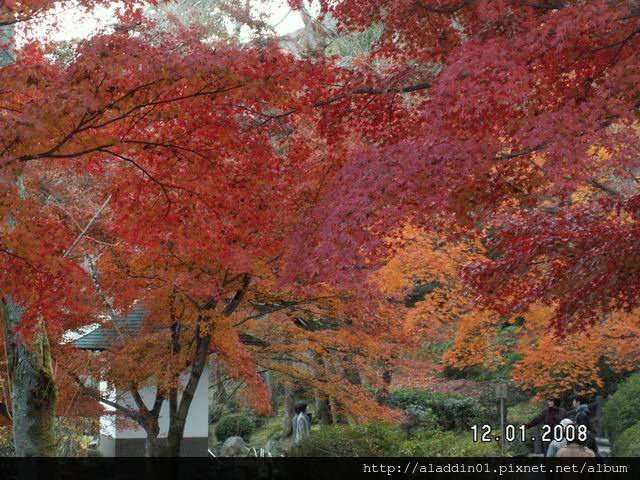 120161嵐山天龍寺 (07).JPG