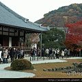 120165嵐山天龍寺 (28).JPG