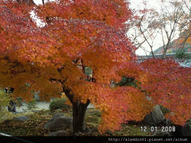 120167嵐山天龍寺 (34).JPG